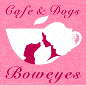 BOWEYES Apk