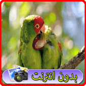 خلفيات عصافير Apk