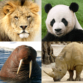 Animals Quiz Learn All Mammals Apk