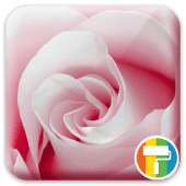 Rose ASUS ZenUI Theme Apk