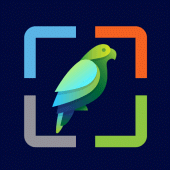 Bird Wallpaper HD Apk