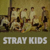 Best Songs Stray Kids (No Permission Required) Apk