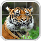 Animals Sliding Tile Puzzle Apk