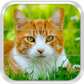 Cats Slide Puzzle Game Apk