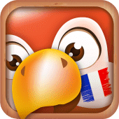 Learn French | Translator Apk