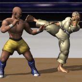 Karate Champion Warrior Boxing Fighter:Kungfu 2019 Apk