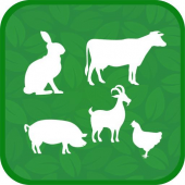 MyFarm Apk