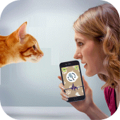 Cat Language Translator - Meow Apk