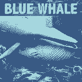 Blue Whale Simulator - Game Apk