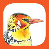 eGuide to Birds of East Africa Apk