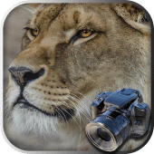 Hidden Animals: Photo Hunt Apk