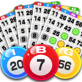 Bingo Apk