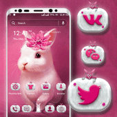 Cute Bunny Launcher Theme Apk