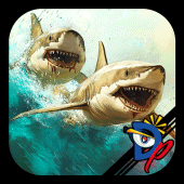 Fish Race Apk