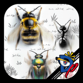 Insect Race Apk