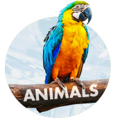 Animals Wallpapers for phone Apk