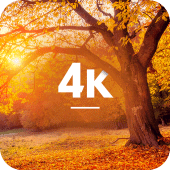 Autumn Wallpapers in 4K Apk