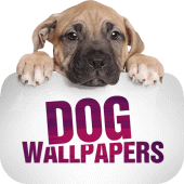 Wallpapers with dogs in 4K Apk