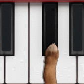 Dog Piano Apk