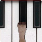 Sheep Piano Apk