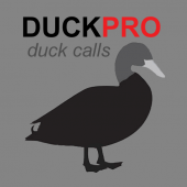 Duck Calls for, Hunting Apk