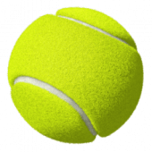 Paddle Tennis Wear Apk