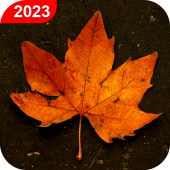 Autumn Live Wallpaper HD Apk