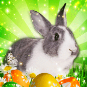 Hidden Object: Easter Egg Hunt Apk