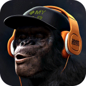 Gorilla Monkey Live Wallpaper Apk