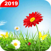 Green Grass Live Wallpaper HD Apk