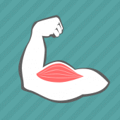 E. Learning Muscles Puzzle Apk