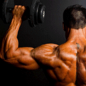 Shoulder workout Gym Exercises Apk