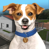 Animal Shelter Simulator Apk