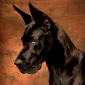 Great Dane Dog Simulator Apk