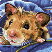 Hamster Pet Puzzles Apk