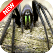 Spider Wallpapers Apk