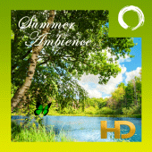 Summer Ambience HD Apk