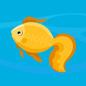 Herring Water Apk