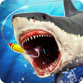 Fishing Simulator: Summer Fishing Apk