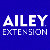 AILEY Extension Apk