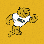 CSP Bears Apk