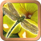 Animals Divine Tarot Apk