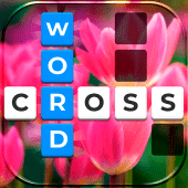 Word Crossed - Offline Games Apk