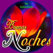 Buenas Noches Imágenes 2024 Apk