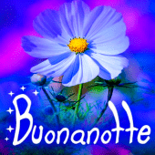 Buongiorno e Buonanote imagini Apk