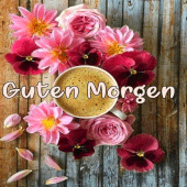 Guten Morgen Bilder Romantik Apk