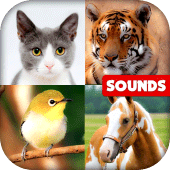 Animal Sounds: With Images Apk