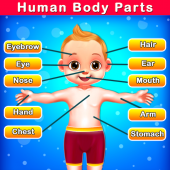 Body Parts for Kids - Human Body Parts Apk