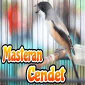 Masteran Cendet Apk