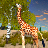 Giraffe Family Life Jungle Sim Apk